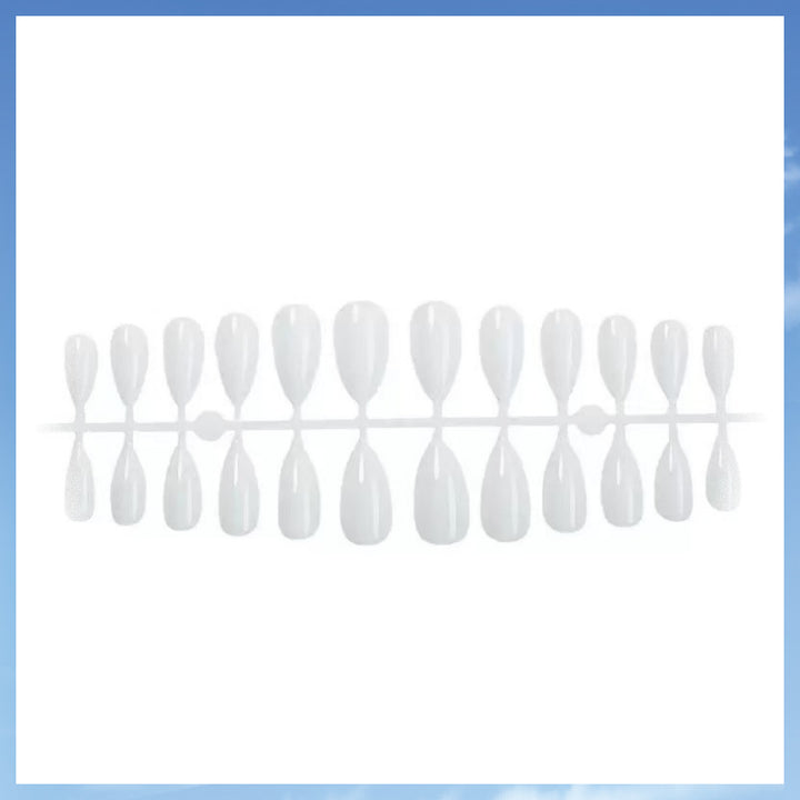 Nail extension form Stornfield