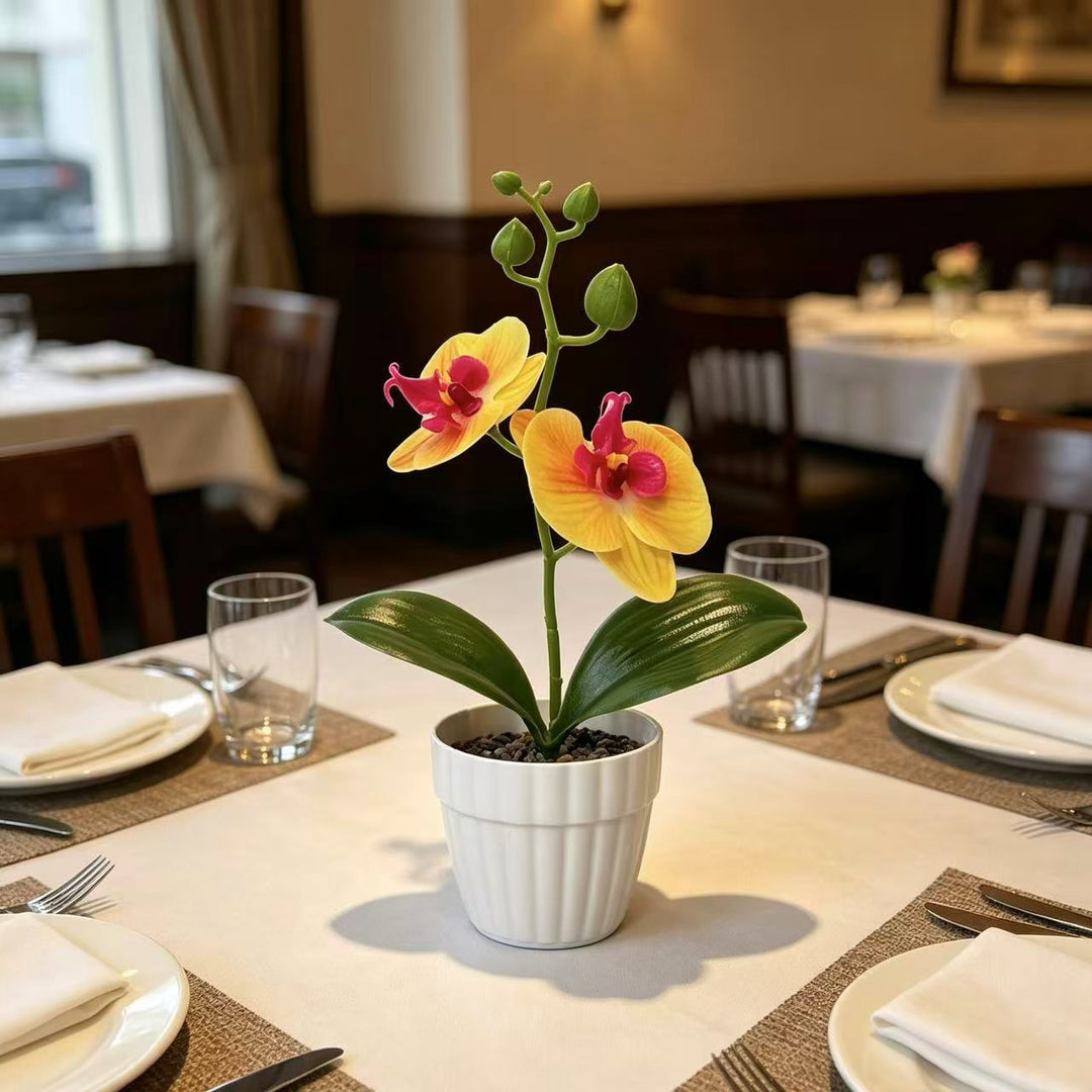 Lifelike Orchid Plant in Decorative Ceramic Pot for Decor