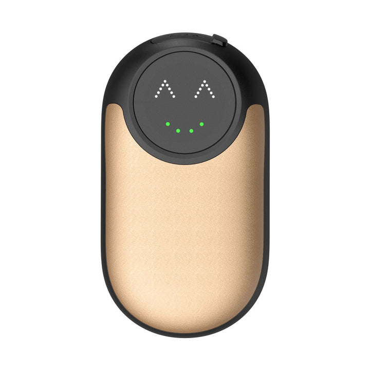 Unisex Personal Assistant Device Stornfield