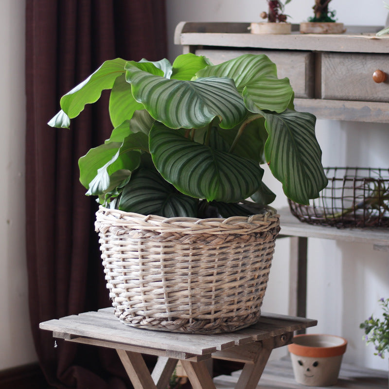 Rustic storage basket made of natural material Stornfield