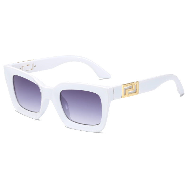 Ladies Square Sunglasses with Luxurious Design Stornfield