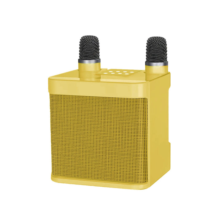 Wireless Karaoke Speaker System with Dual Microphones Stornfield