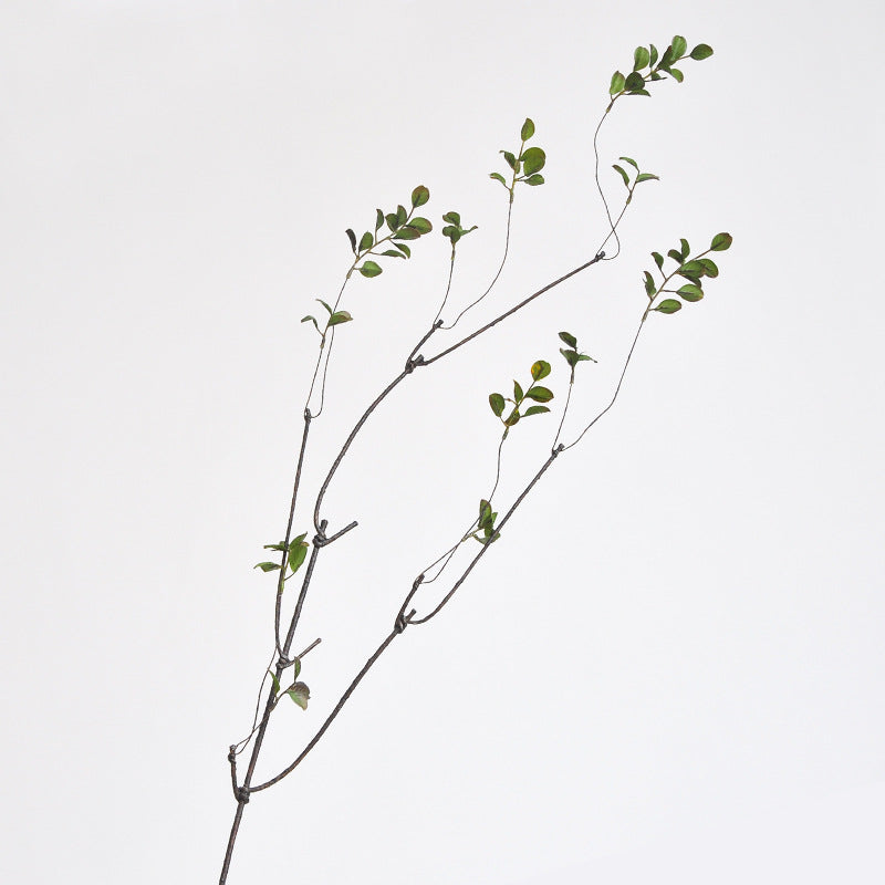 Decorative Natural Branch Sculpture