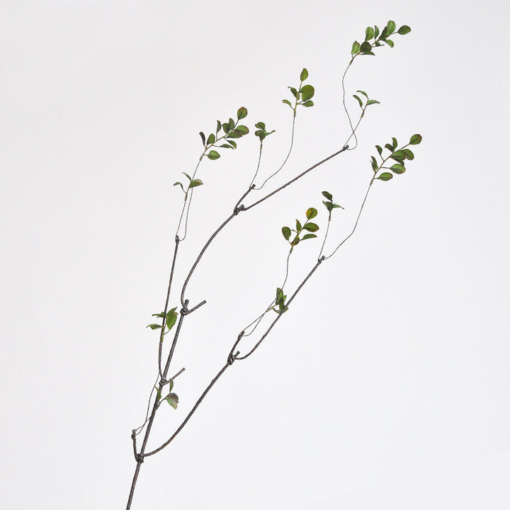 Decorative Natural Branch Sculpture