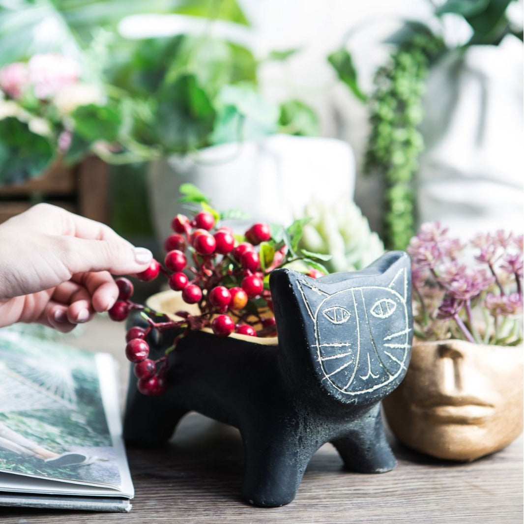 Decorative Plant Bowl Stornfield