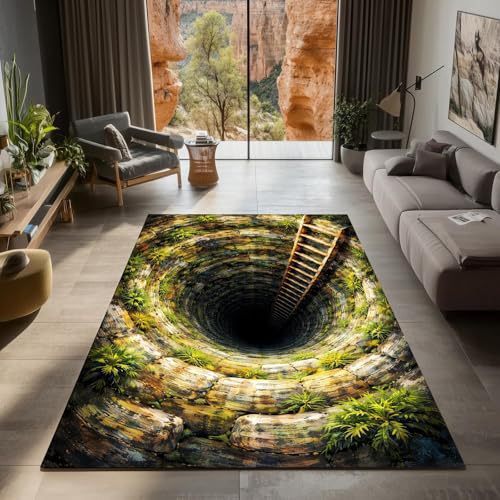 3D Optical Illusion Area Rug