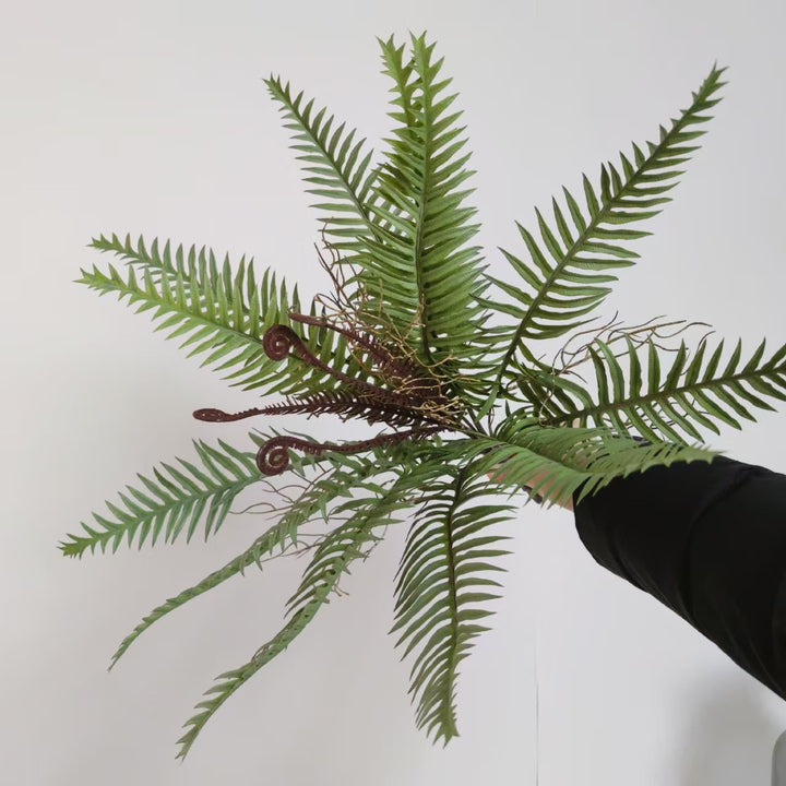 Lifelike Fern Branch Arrangement