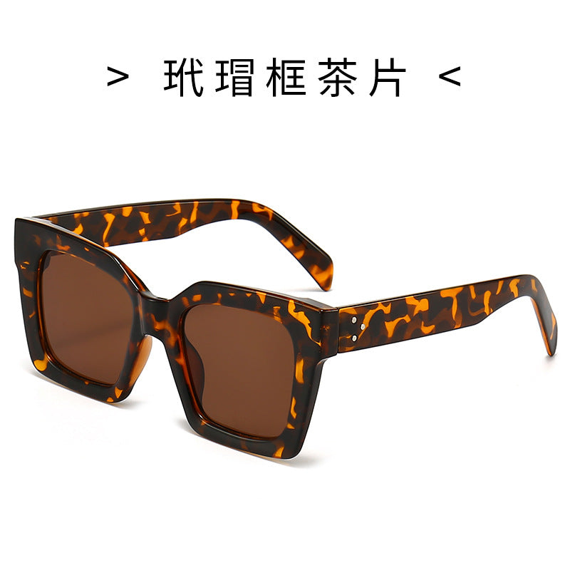 Women's Fashion Sunglasses in Striking Turtle Design Stornfield