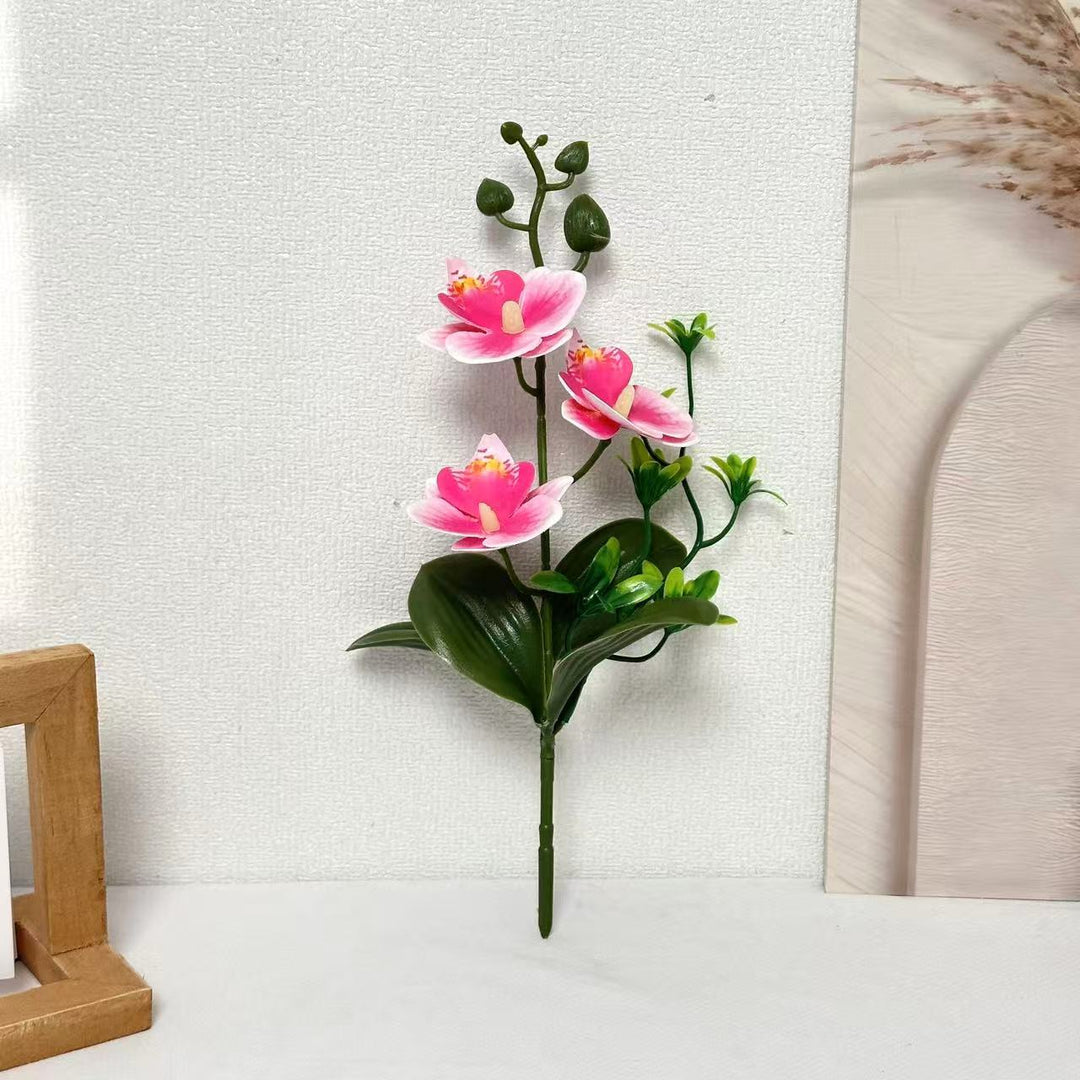 Elegant Orchids Floral Arrangement