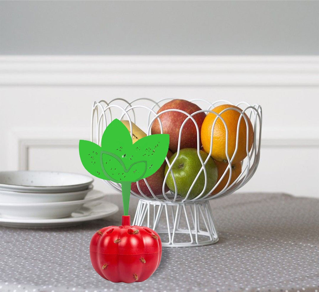 Reusable countertop fruit fly trap with tomato-shaped sticky bait reservoir Stornfield
