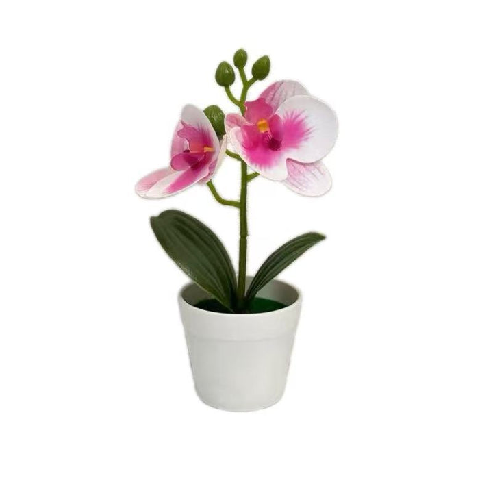 Artificial Orchid Plant for Decorative Home Display and Styling