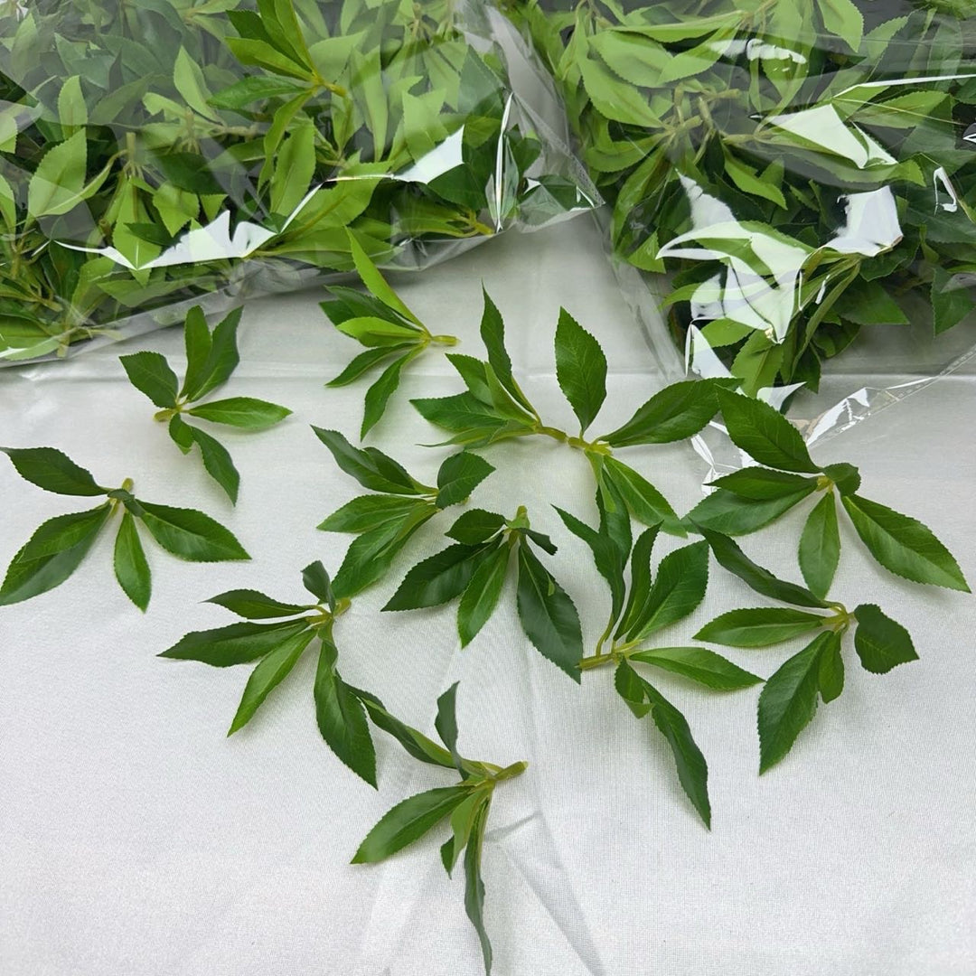 Lifelike Foliage Arrangement