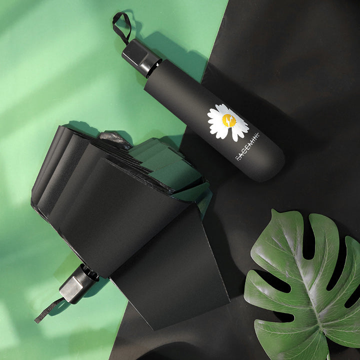 Ladies Umbrella Stornfield