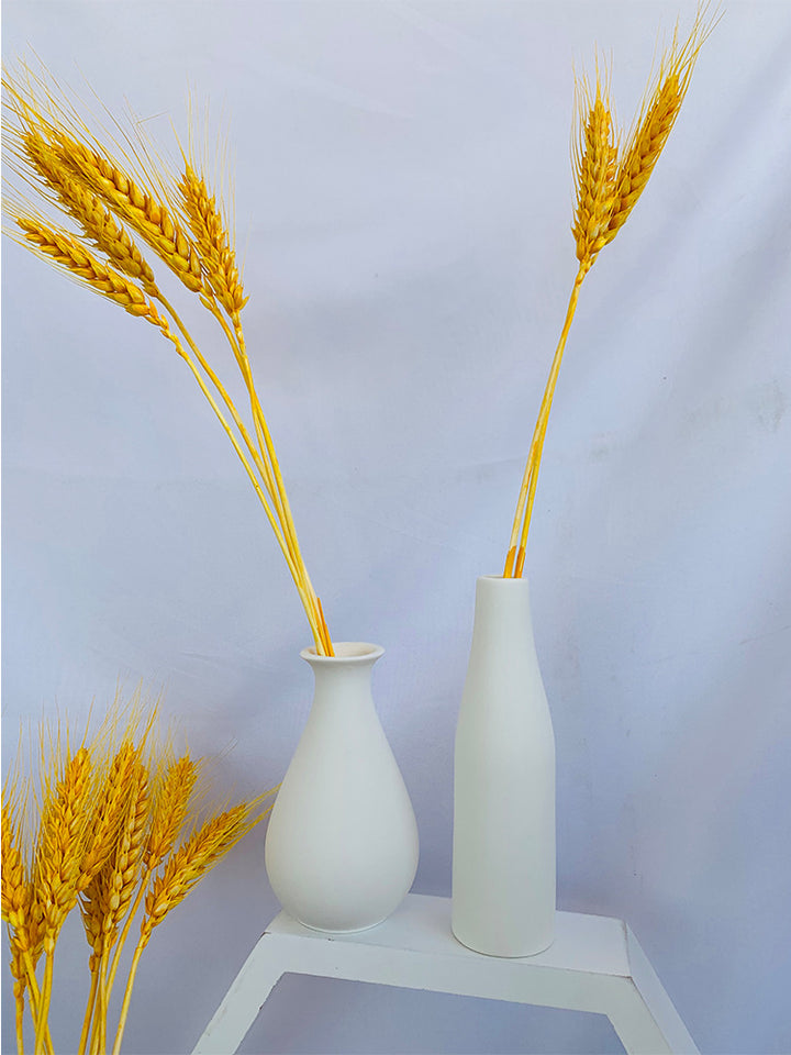 Decorative Ceramic Stornfeild