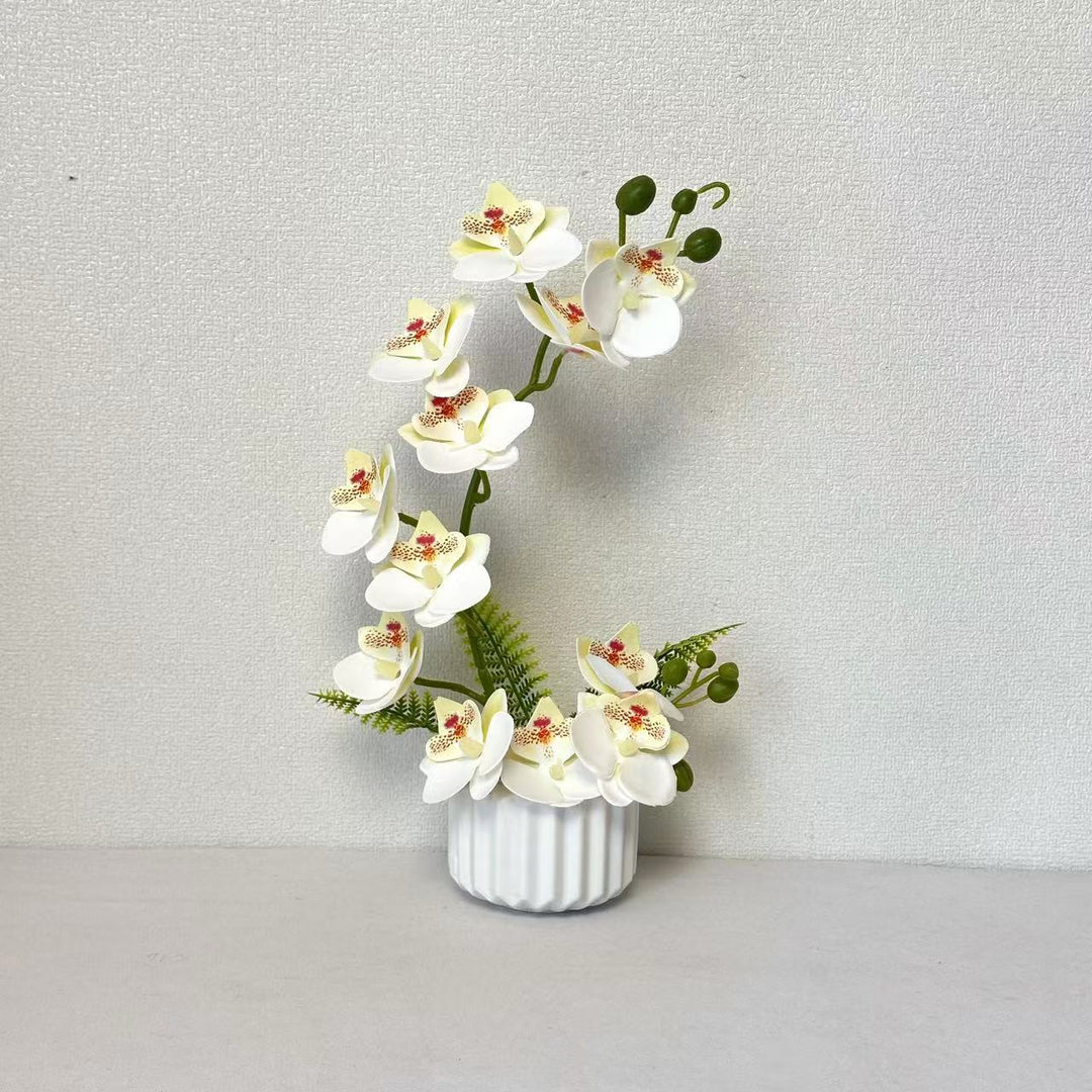 Elegant Orchid Floral Arrangement