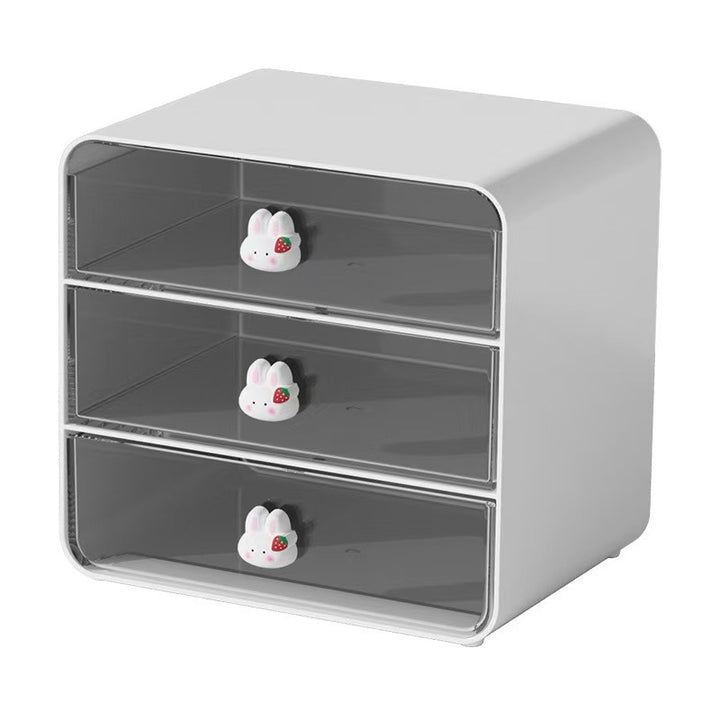 Modern Multi-Drawer Desktop Storage Organizer Stornfield