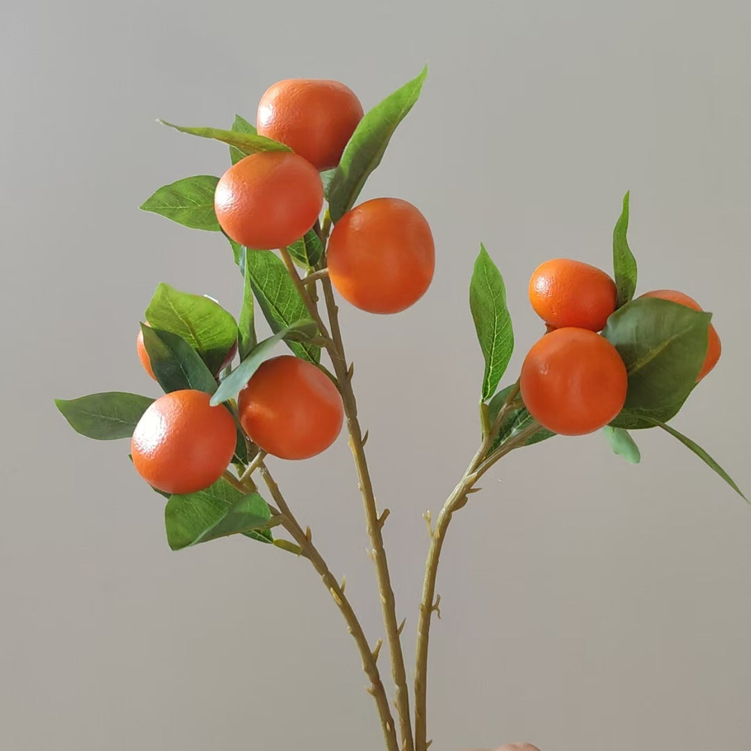 Decorative Orange Fruit Stem