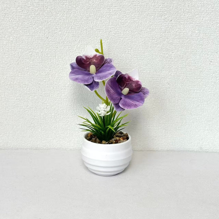 Decorative Miniature Orchid Centerpiece