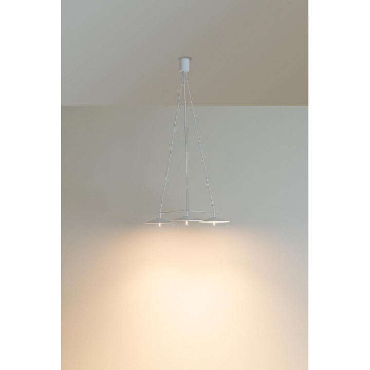 Contemporary Curved Pendant Light