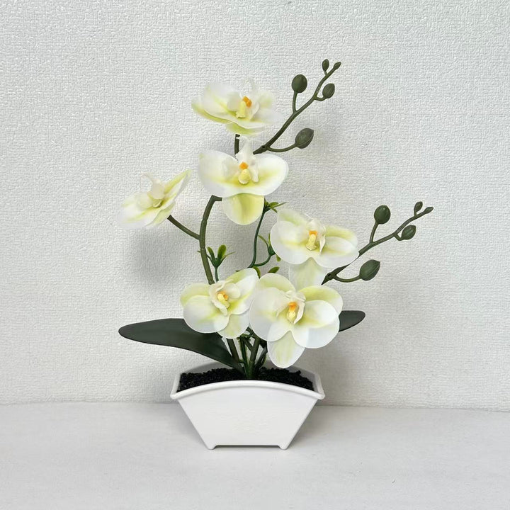 Realistic Decorative Orchid Plant Arrangement