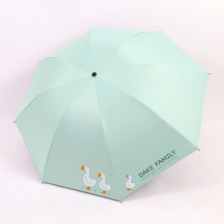 Ladies Umbrella Stornfield