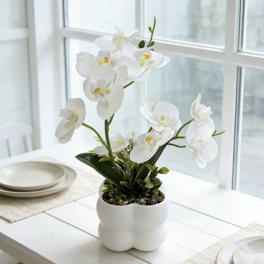 Lifelike Orchid Floral Display