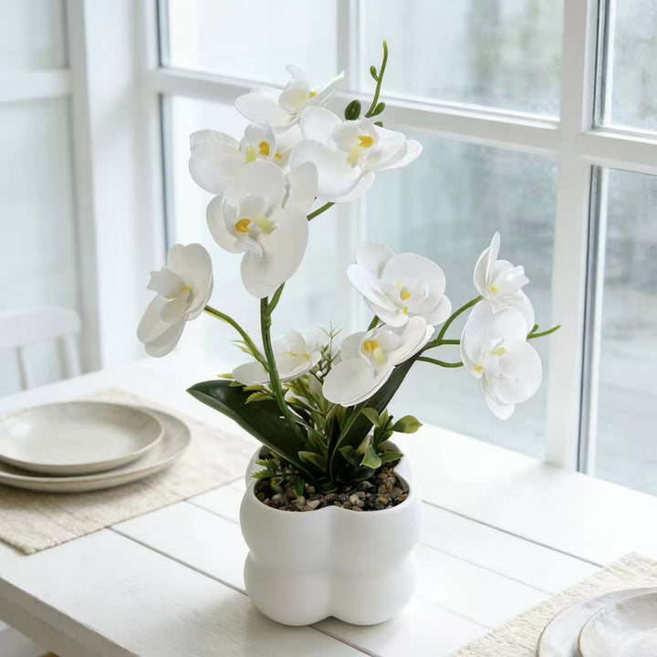 Lifelike Orchid Floral Display