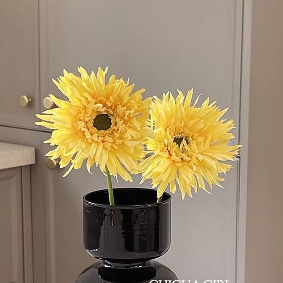 Decorative Home Vase for Indoor Home Display