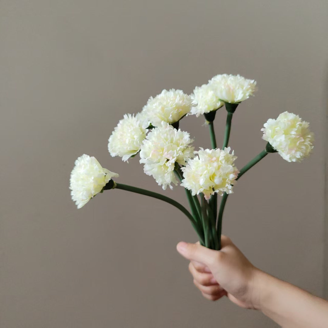 Realistic Carnation Flower Stem