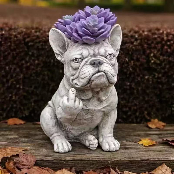 Decorative Dog Plant Stornfield