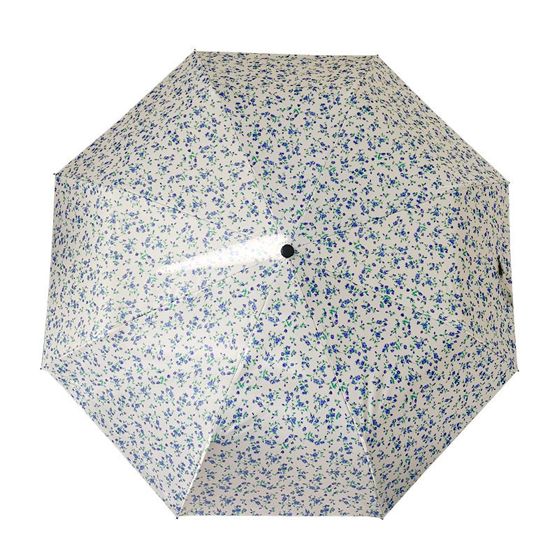 Women's Folding Umbrella Stornfield