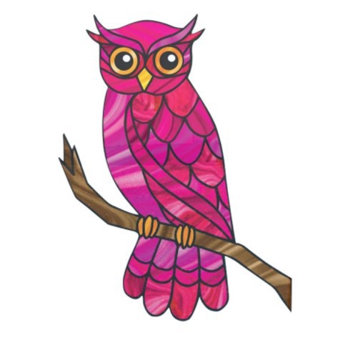 Colorful Owl Decorative Wall Art