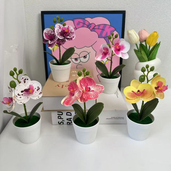 Artificial Orchid Plant for Decorative Home Display and Styling