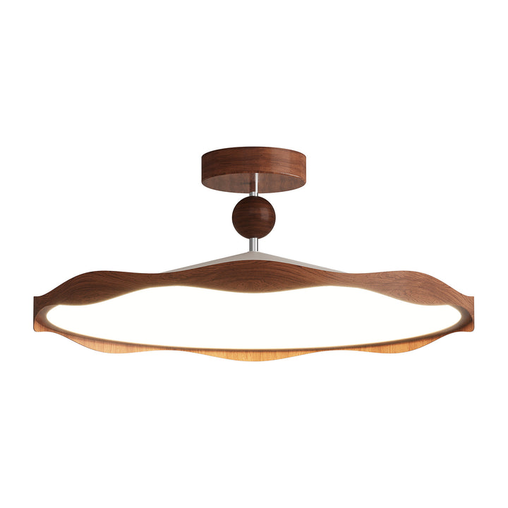 Contemporary Ceiling Light Fixture