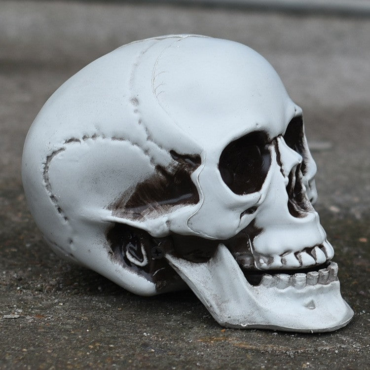 Decorative Realistic Skull Figurine Stornfield