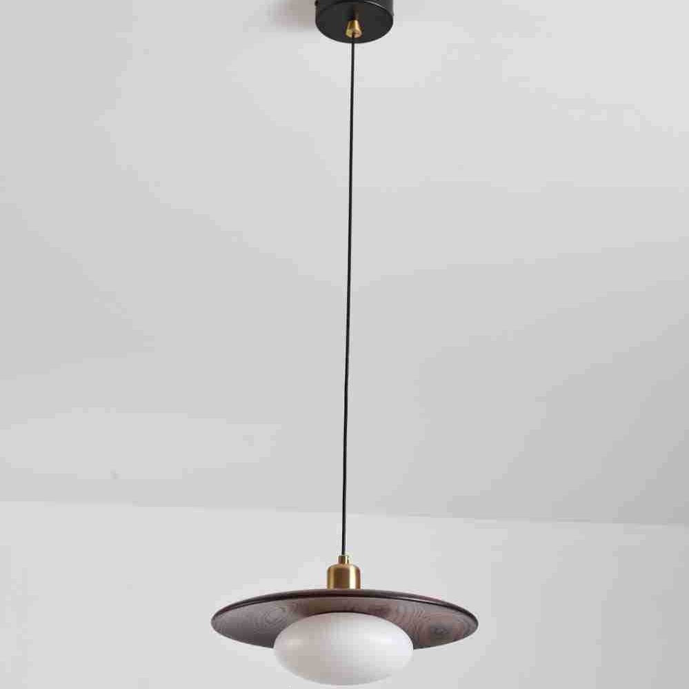 Modern Artistic Pendant Light Fixture