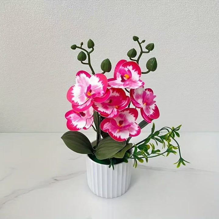 Elegant Floral Orchid Bouquet