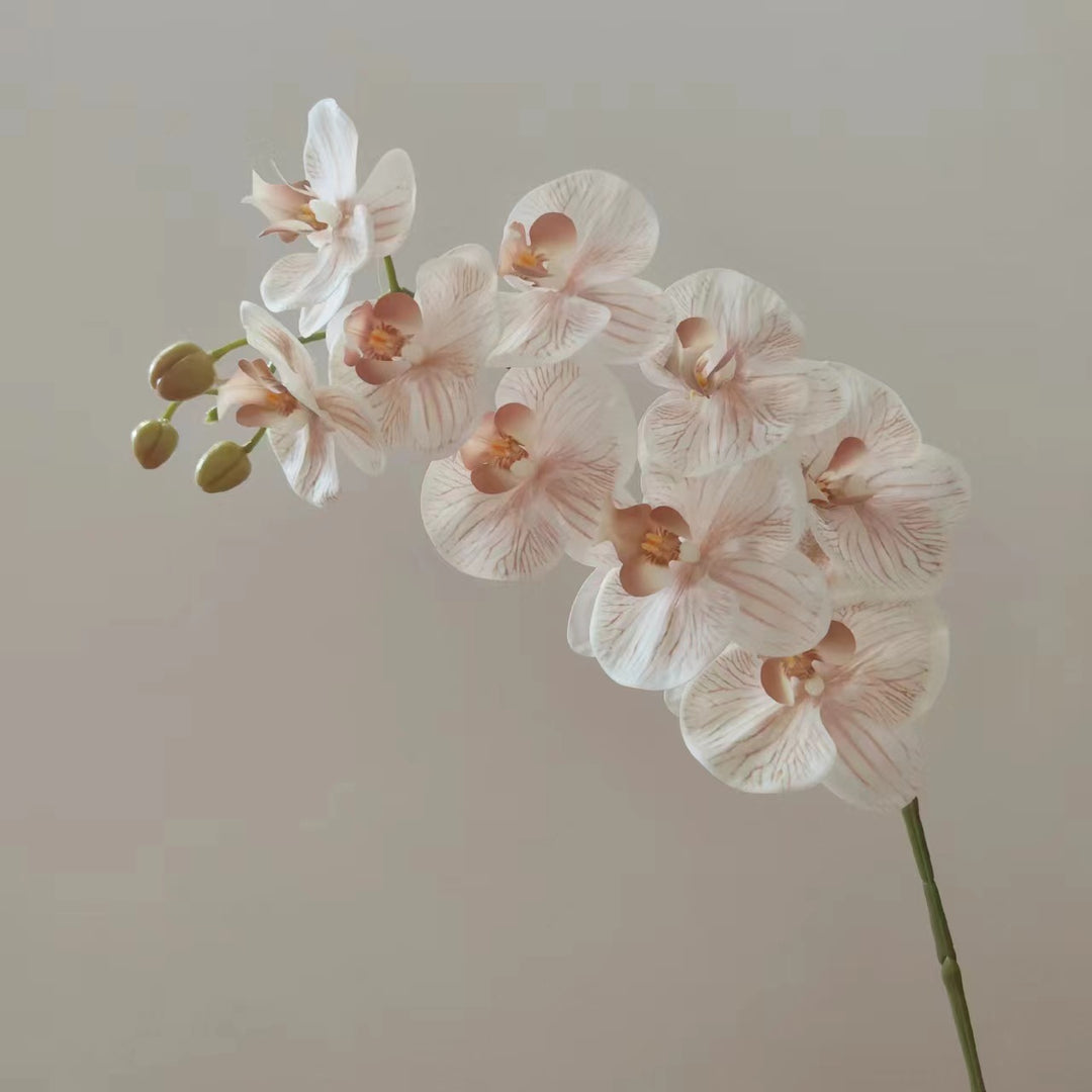 Realistic Orchid Flower Stem