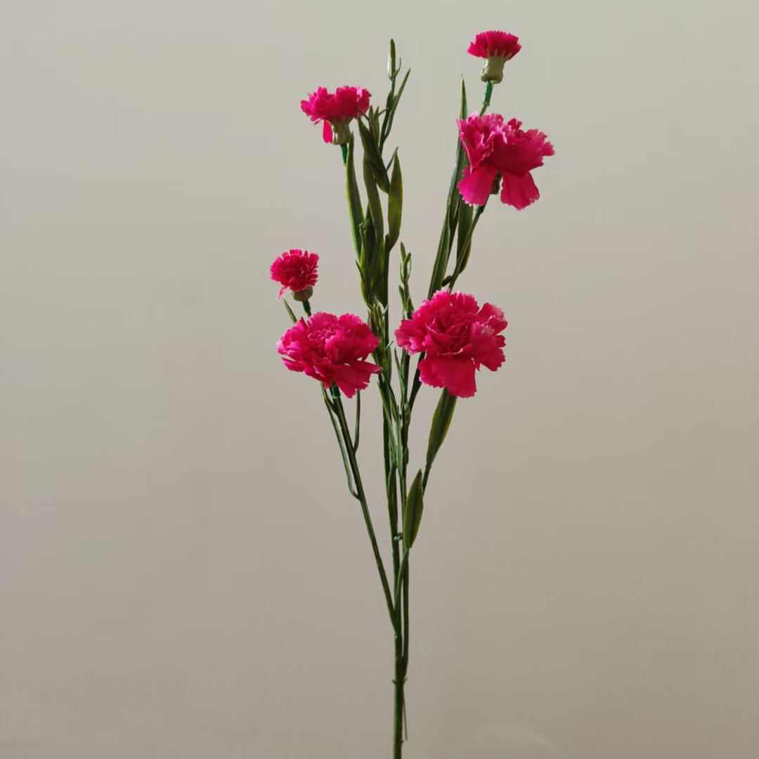 Realistic Carnation Floral Stem