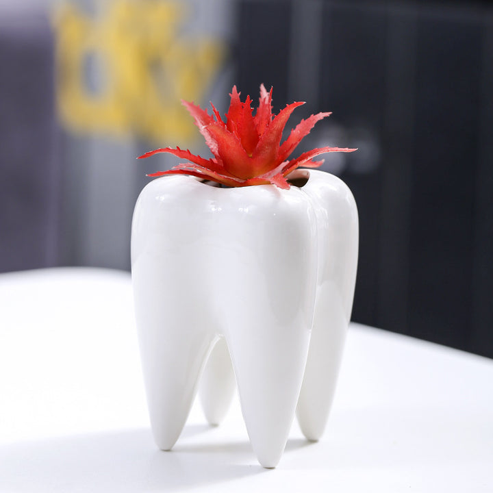 Creative Tooth-Shaped Planter Stornfeild