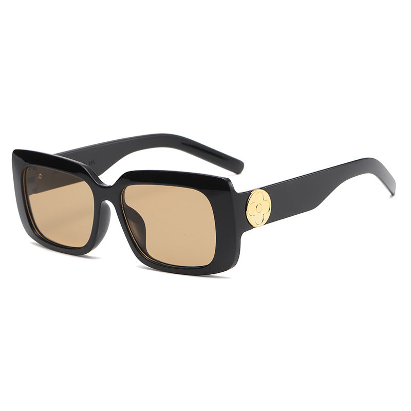 Women's Oversized Sunglasses with Luxurious Transparent Frame Stornfield