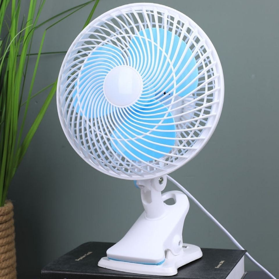 Fan Stornfield