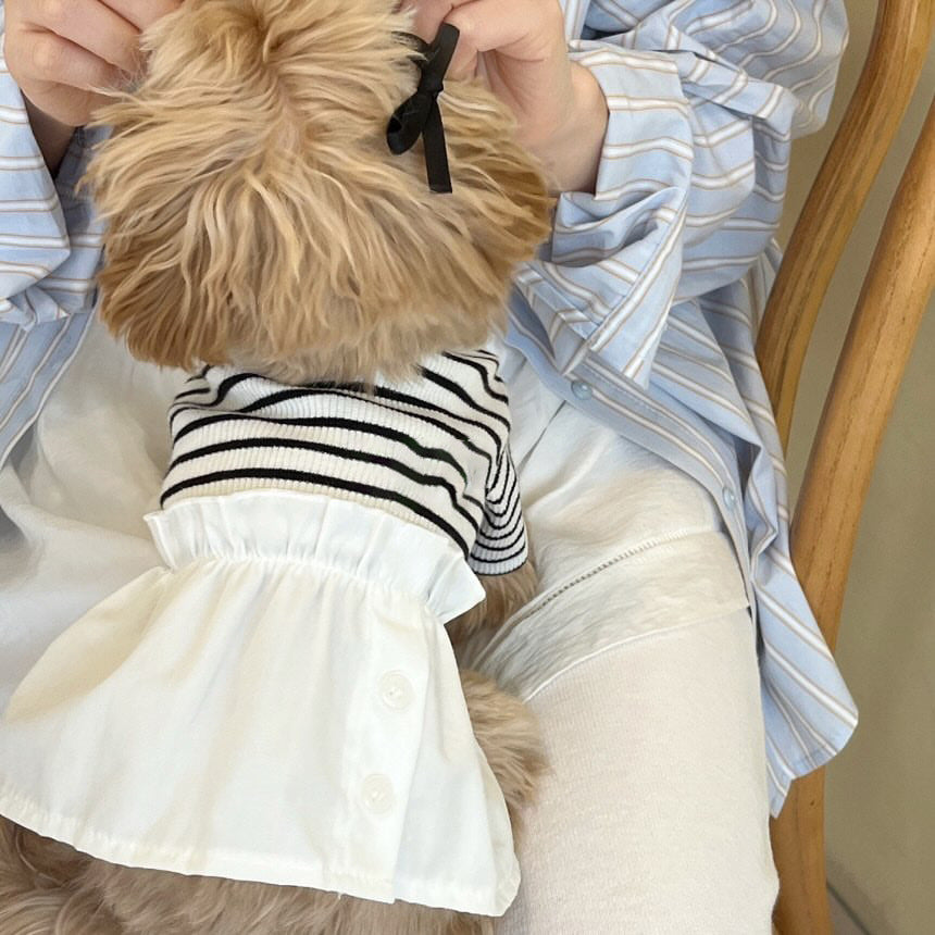 Small Dog Striped Cotton-Blend Knit Sweater with Peter Pan Collar