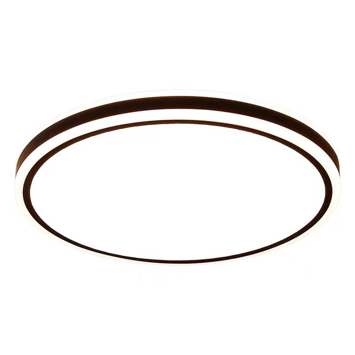 Modern Aesthetic Ceiling Light