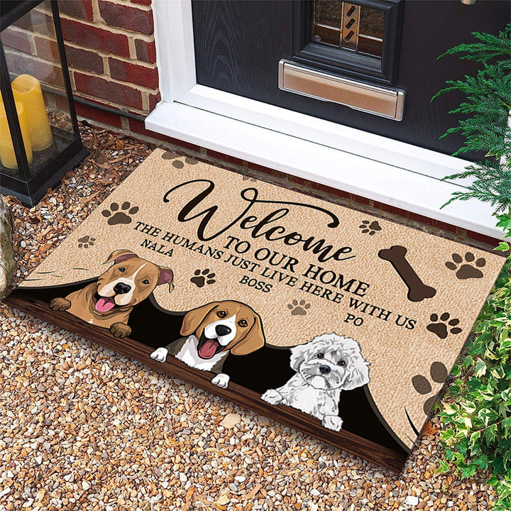 Funny Cat-Themed Doormat