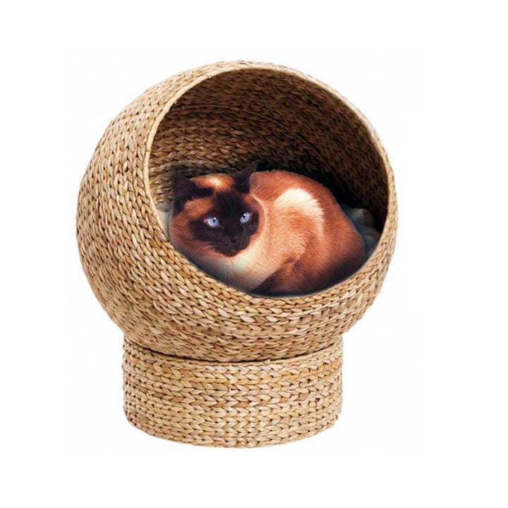 Katzenkuhle Stornfield