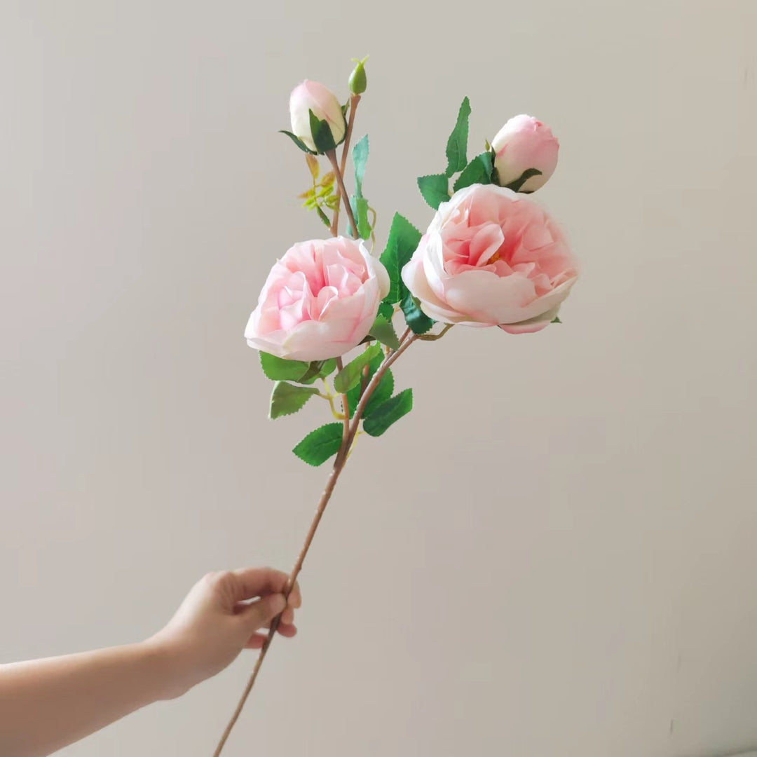Realistic Floral Peony Stem