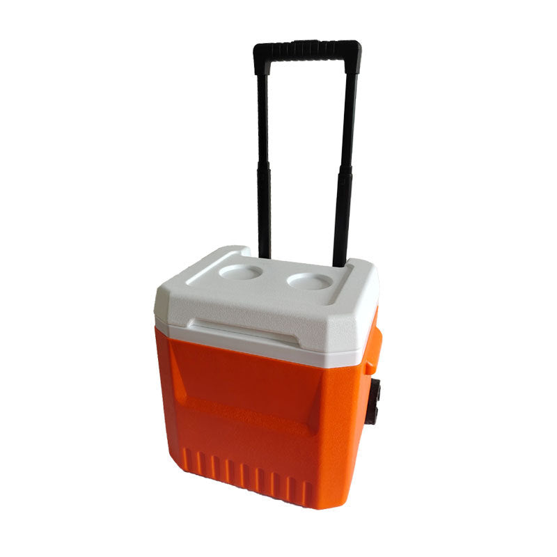 Ladies cooler bag with extendable handle and wheels Stornfield