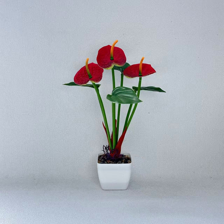 Realistic Anthurium Plant Arrangement