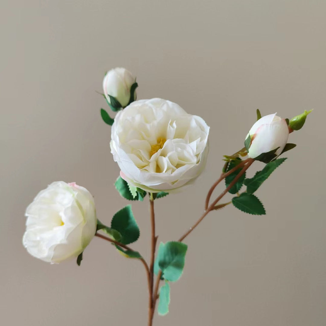 Realistic Floral Peony Stem